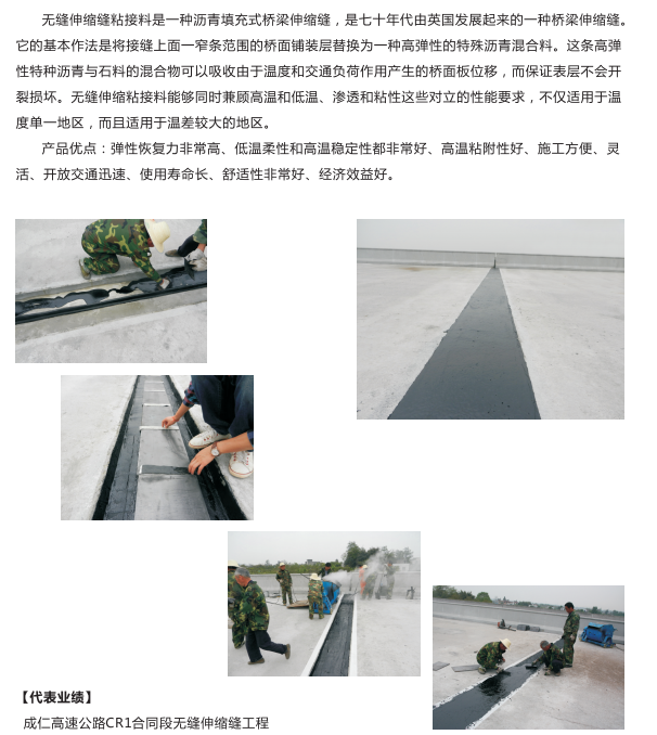 無(wú)縫伸縮縫技術(shù).jpg