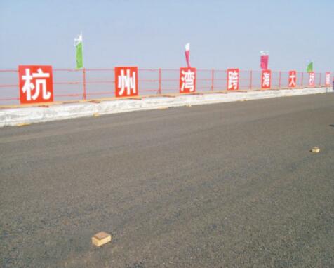 杭州灣跨海大橋項目